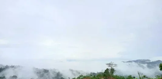 Gunung Betung: Permata Tersembunyi di Lampung Gunung Betung