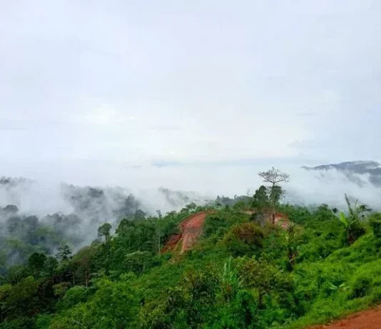Gunung Betung: Permata Tersembunyi di Lampung Gunung Betung