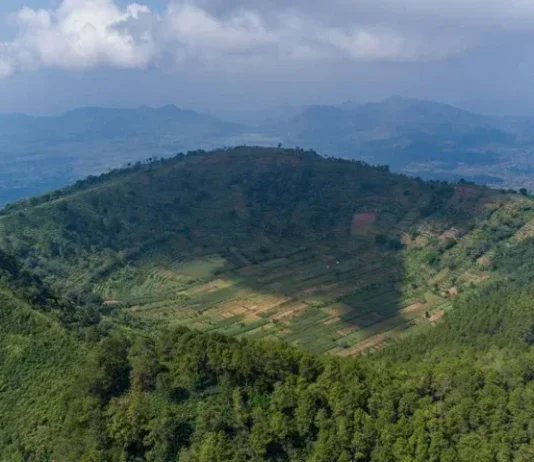 Gunung Blego: Pesona Alam Tersembunyi di Jawa Tengah Gunung Blego
