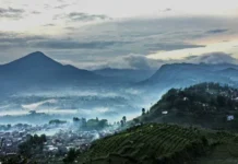 Gunung Bukit Tunggul