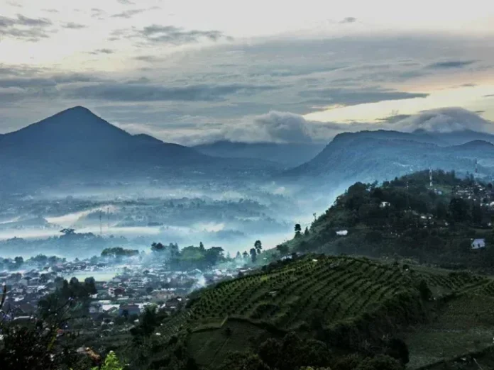 Gunung Bukit Tunggul Gunung Bukit Tunggul