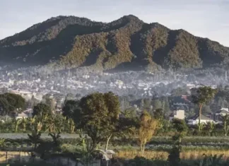 Gunung Burangrang: Petualangan di Balik Keindahan Alam Gunung Burangrang