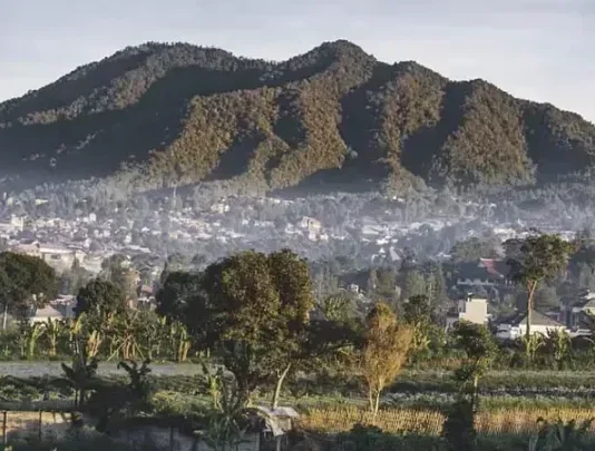 Gunung Burangrang: Petualangan di Balik Keindahan Alam Gunung Burangrang