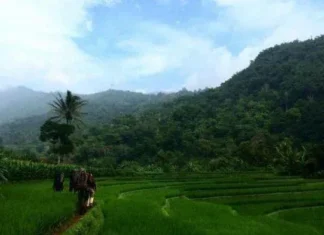 Gunung Calancang: Pesona Tersembunyi di Jawa Barat Gunung Calancang