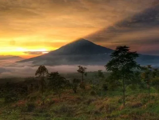 Gunung Cikuray: Puncak Tertinggi Ketiga di Jawa Barat Gunung Cikuray