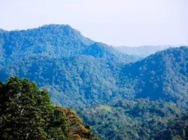 Gunung Djadi: Pesona Alam Indonesia Gunung Djadi