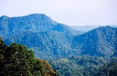 Gunung Djadi: Pesona Alam Indonesia Gunung Djadi