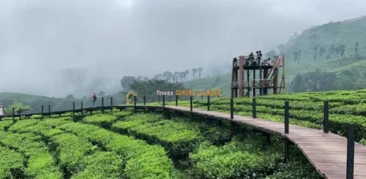 Gunung Gambiran: Keindahan Alam di Jawa Timur Gunung Gambiran