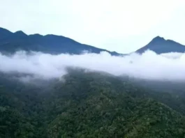 Gunung Geureudong: Menelusuri Keindahan di Aceh Gunung Geureudong