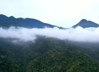 Gunung Geureudong