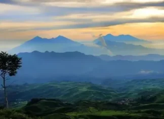 Gunung Halimun: Permata Alam di Jawa Barat Gunung Halimun