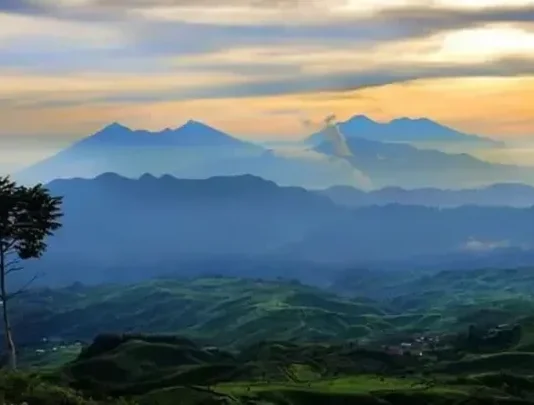 Gunung Halimun: Permata Alam di Jawa Barat Gunung Halimun