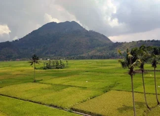 Gunung Haruman: Keindahan Alam yang Tersembunyi Gunung Haruman