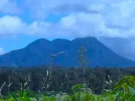 Gunung Hulu Nilo: Permata di Jambi Gunung Hulu Nilo