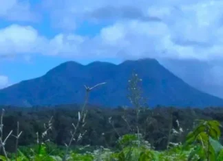 Gunung Hulu Nilo: Permata di Jambi Gunung Hulu Nilo