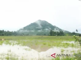 Gunung Jambangan: Permata Tersembunyi di Jawa Timur Gunung Jambangan