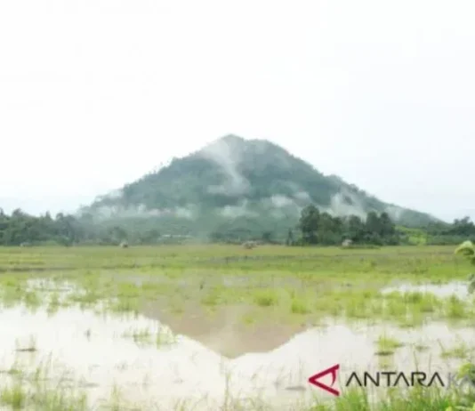 Gunung Jambangan: Permata Tersembunyi di Jawa Timur Gunung Jambangan
