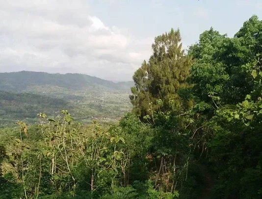 Gunung Jambu: Pesona Alam Jawa Timur yang Tersembunyi Gunung Jambu