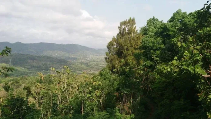Gunung Jambu Gunung Jambu