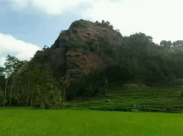 Gunung Jaran: Pesona Alam yang Menakjubkan di Jawa Timur Gunung Jaran