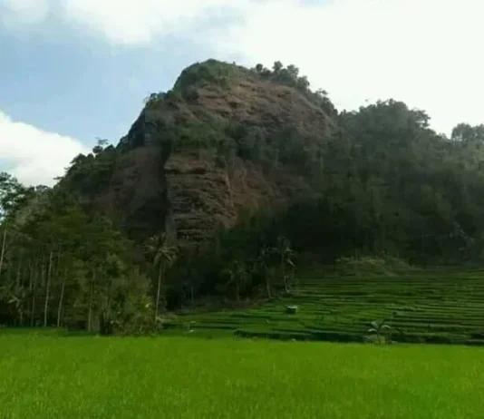 Gunung Jaran: Pesona Alam yang Menakjubkan di Jawa Timur Gunung Jaran