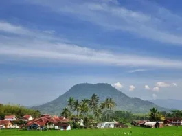 Gunung Kaledong: Keindahan Alam dan Tantangan Pendakian Gunung Kaledong