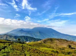 Gunung Kancana: Permata Tersembunyi Jawa Barat Gunung Kancana