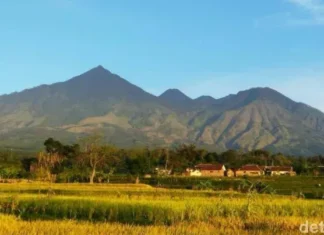 Gunung Kembar II: Tantangan Mendaki di Jawa Timur Gunung Kembar II