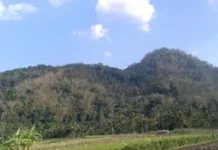 Gunung Kendalisodo