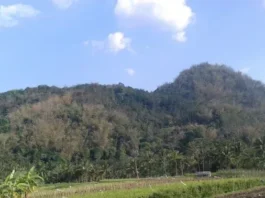 Gunung Kendalisodo: Keindahan Alam yang Menakjubkan Gunung Kendalisodo