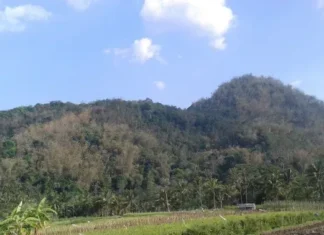 Gunung Kendalisodo