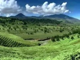 Gunung Kendang: Keindahan di Jawa Barat Gunung Kendang