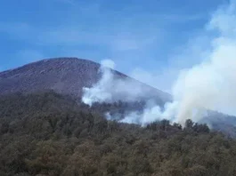 Gunung Kepolo: Pesona Gunung dengan Keindahan Alami Gunung Kepolo