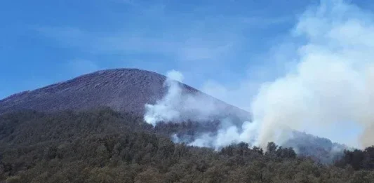 Gunung Kepolo: Pesona Gunung dengan Keindahan Alami Gunung Kepolo