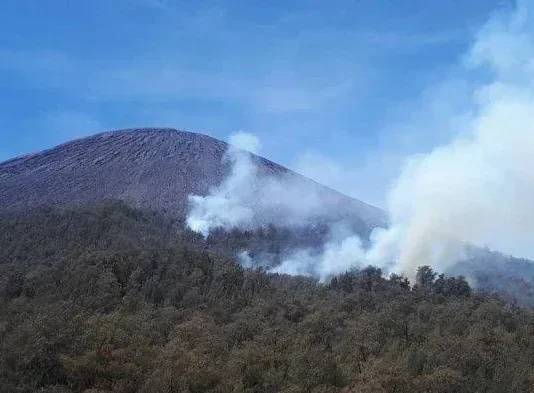 Gunung Kepolo: Pesona Gunung dengan Keindahan Alami Gunung Kepolo