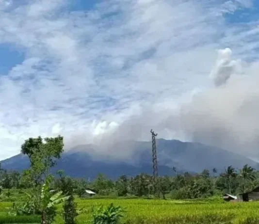 Gunung Kulabu: Tantangan Mendaki yang Menakjubkan Gunung Kulabu
