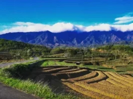 Gunung Kumbang: Permata Tersembunyi Gunung Kumbang