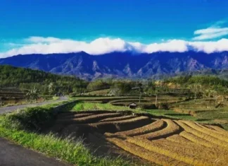 Gunung Kumbang: Permata Tersembunyi Gunung Kumbang