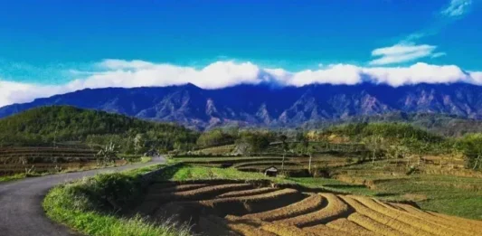 Gunung Kumbang: Permata Tersembunyi Gunung Kumbang