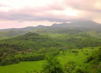 Gunung Lasem: Keindahan di Timur Jawa Tengah Gunung Lasem