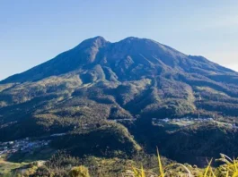 Gunung Lawu: Pesona di Perbatasan Jawa Tengah dan Jawa Timur Gunung Lawu