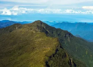 Gunung Leuser : Keajaiban Alam dan Warisan Dunia Gunung Leuser