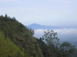 Gunung Liman: Keindahan Tersembunyi di Jawa Timur Gunung Liman