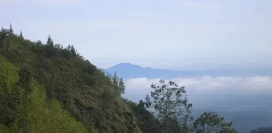 Gunung Liman: Keindahan Tersembunyi di Jawa Timur Gunung Liman