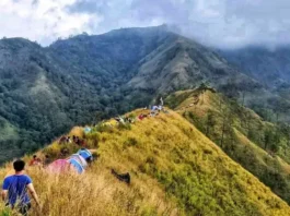 Gunung Limas: Keindahan Alam dan Sejarah yang Memikat Gunung Limas