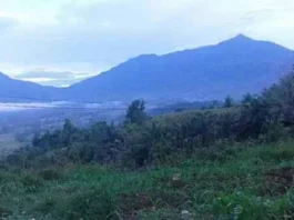 Gunung Lubukraya: Keindahan Alam di Sumatera Gunung Lubukraya