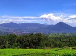 Gunung Malabar: Eksotisme Alam dan Legenda yang Memikat Gunung Malabar