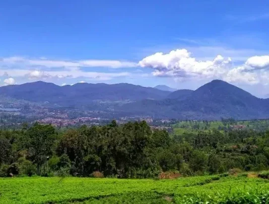 Gunung Malabar: Eksotisme Alam dan Legenda yang Memikat Gunung Malabar