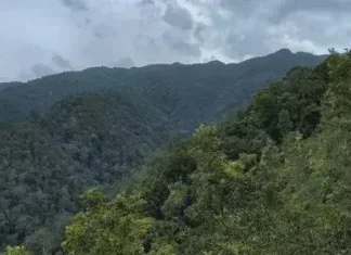 Gunung Mande: Rabiah Keindahan di Sumatera Barat Gunung Mande Rabiah