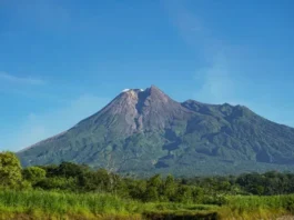 Gunung Merapi: Keindahan dan Bahaya Sang Gunung Berapi Aktif Gunung Merapi